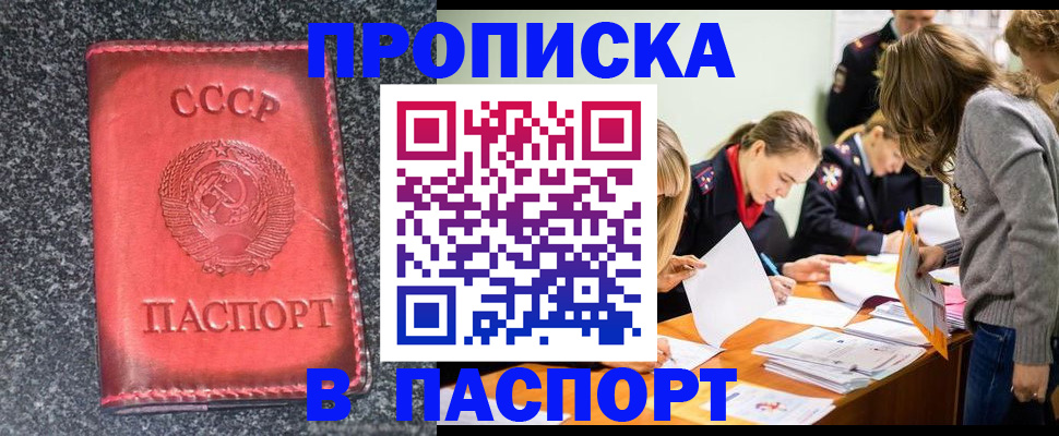 прописка для школы в Курской области